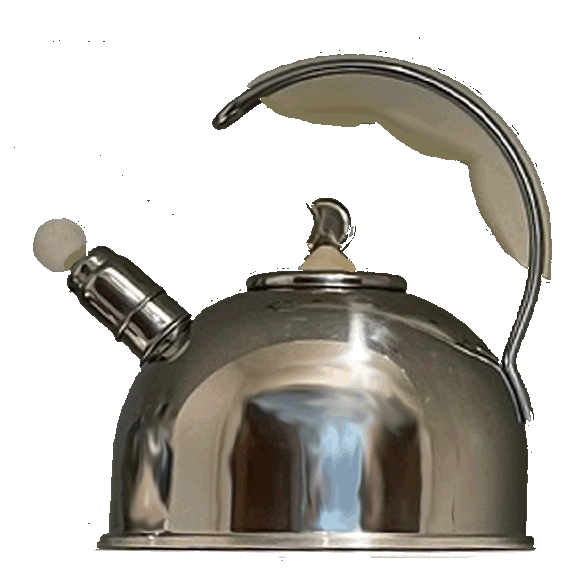 
BONJOUR TEAPOT