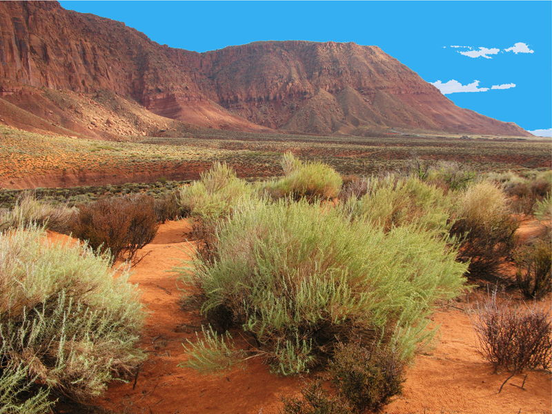 RED CLIFF DESERT VIEW