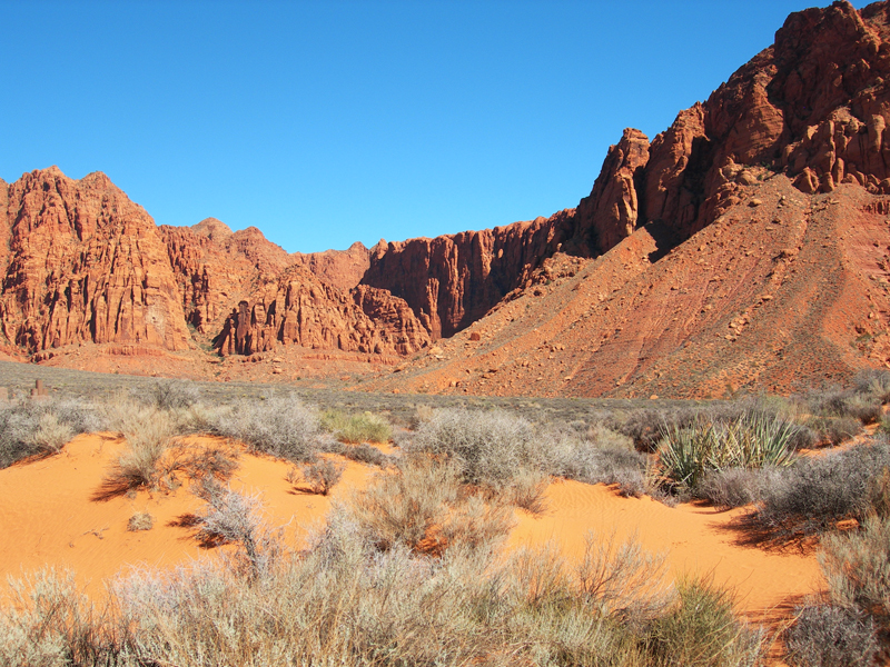 RED CLIFF DESERT VIEW